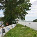 Blick auf die Donau stromabwärts, Richtung Wien